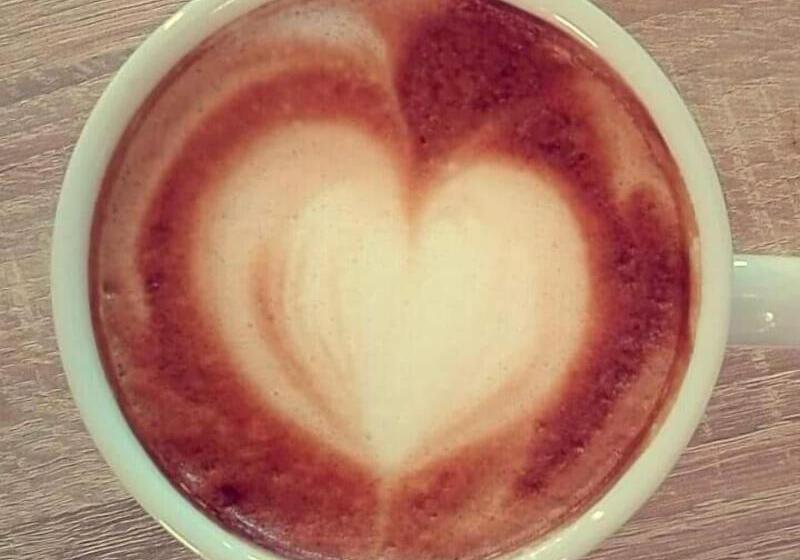 Fotos del hotel Falcon:  17