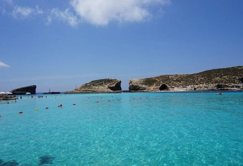 Fotos del hotel Ddream:  17