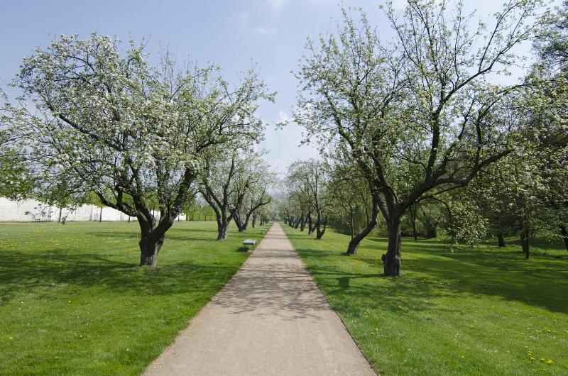 Fotos del hotel The Granary:  17