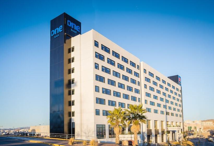 One Chihuahua Fashion Mall