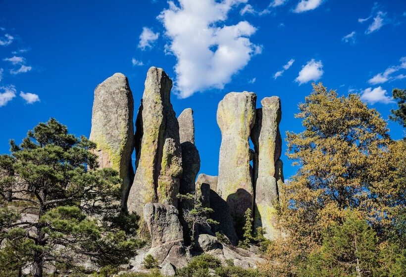 Fotos del hotel One Chihuahua Fashion Mall:  8