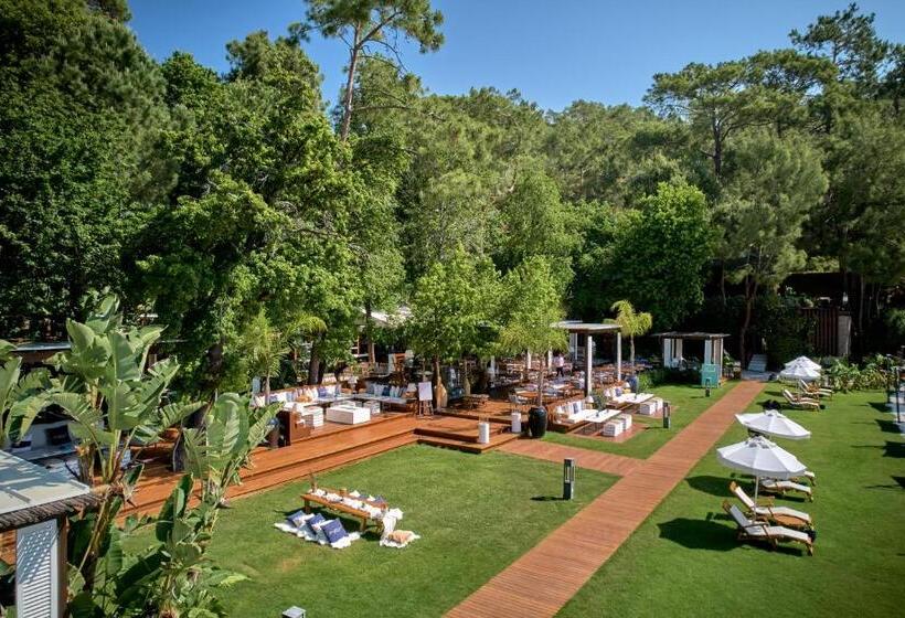 Fotos del hotel Club Prive By Rixos Gocek:  15