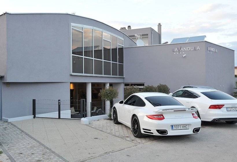 Fotos del hotel Apartments & Rooms Lavandula Exclusive:  10