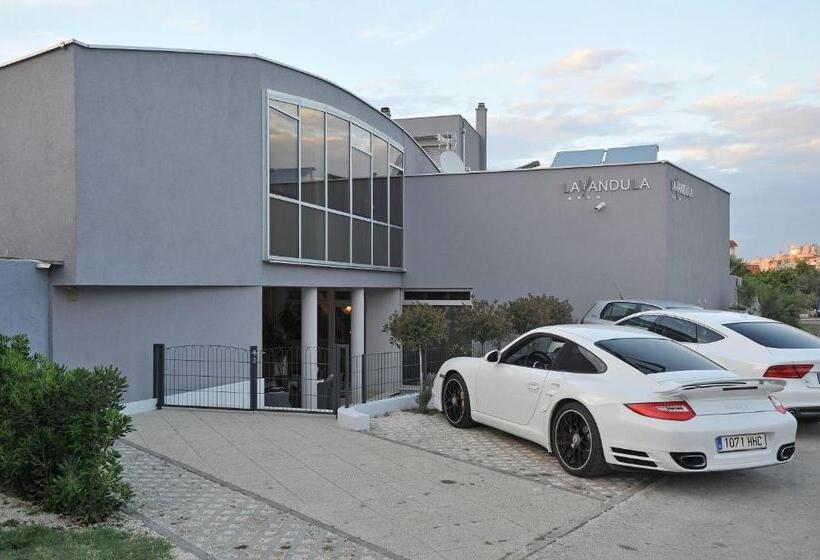 Fotos del hotel Apartments & Rooms Lavandula Exclusive:  6