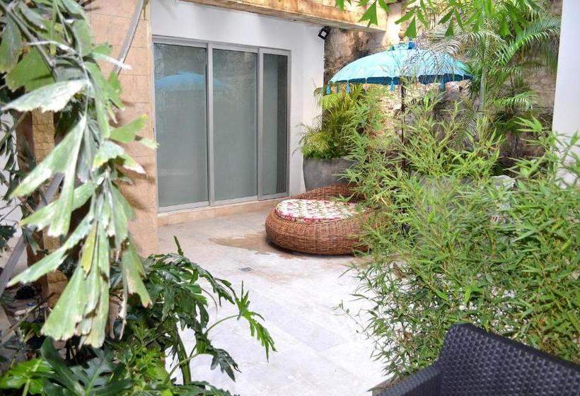 Fotos del hotel Casa Alpha:  15