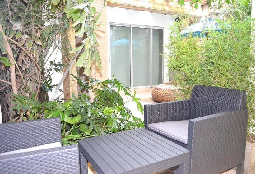 Fotos del hotel Casa Alpha:  11