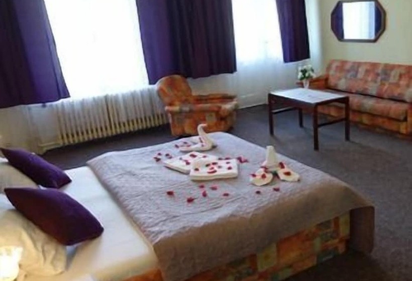 Fotos del hotel Wellness  Haná:  2