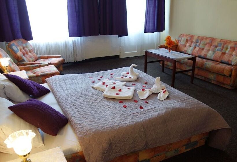 Fotos del hotel Wellness  Haná:  4