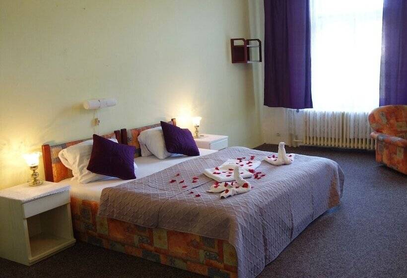 Fotos del hotel Wellness  Haná:  6