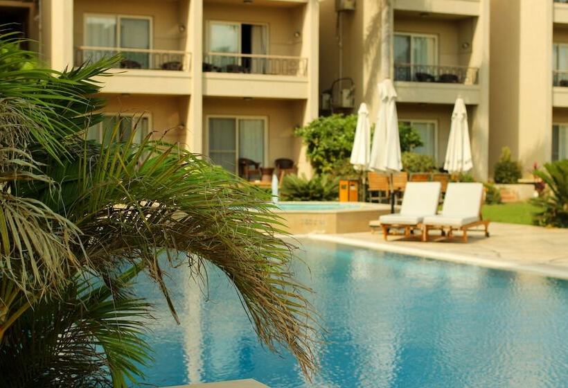 Fotos del hotel Panacea  Borg El Arab:  9