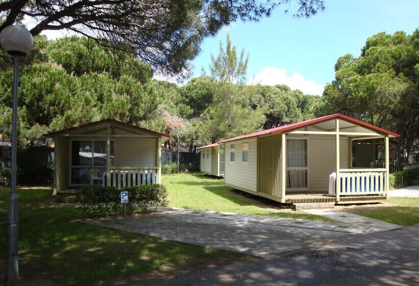 Fotos del hotel Parque De Campismo Orbitur Costa De Caparica:  20