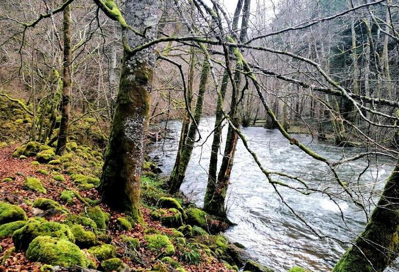Fotos del hotel Auberge De La Hulotte:  12