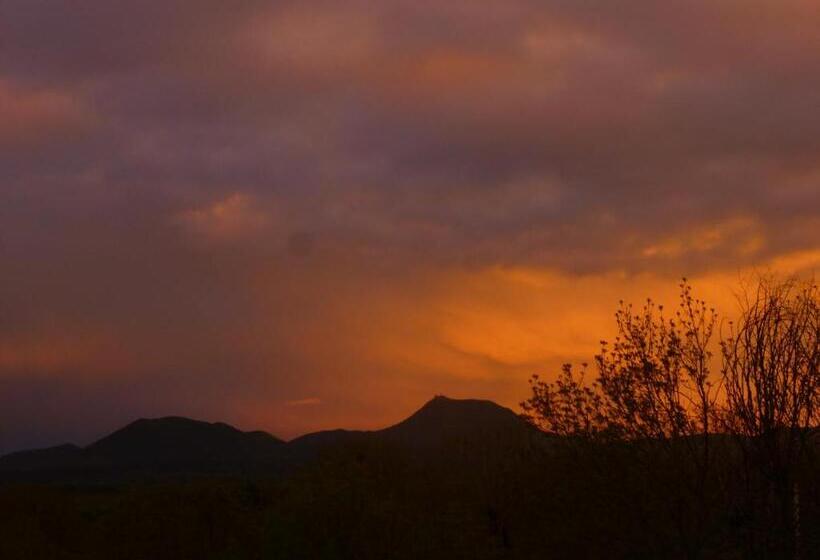 Fotos del hotel Auberge De La Hulotte:  8