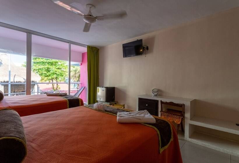 Fotos del hotel Kay Adults Only:  13