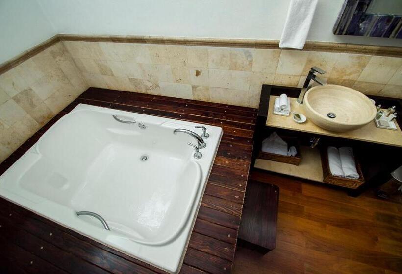 Fotos del hotel Hacienda De Guadalupe:  6