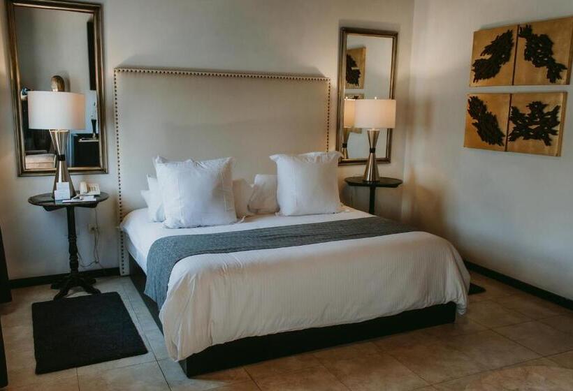 Fotos del hotel Hacienda De Guadalupe:  15