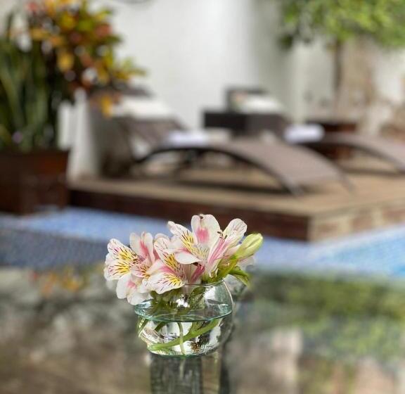 Fotos del hotel Hacienda De Guadalupe:  8