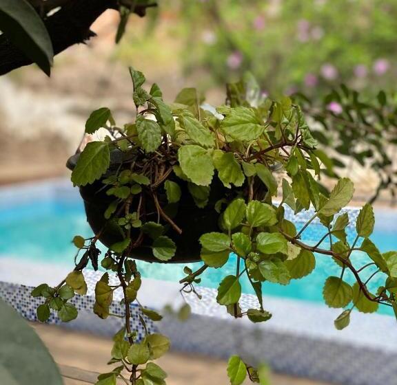 Fotos del hotel Hacienda De Guadalupe:  16