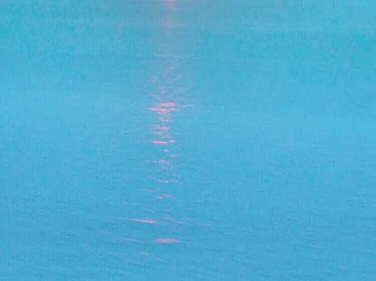 Fotos del hotel Penthouse Batumi:  3