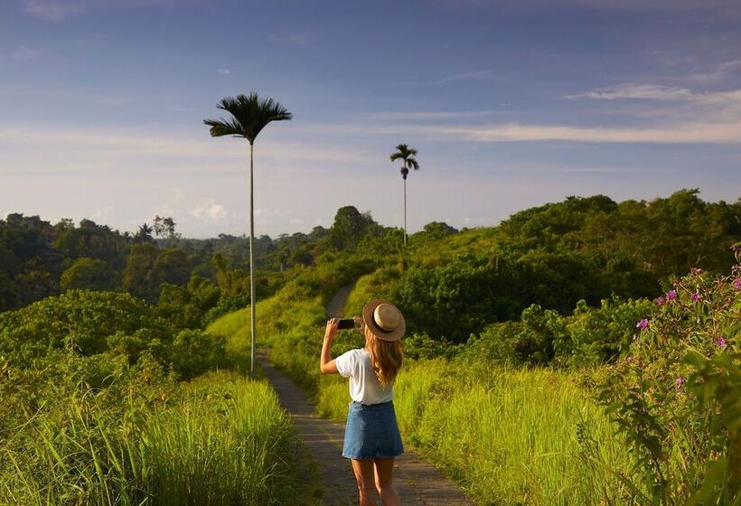 Fotos del hotel Element By Westin Bali Ubud:  8