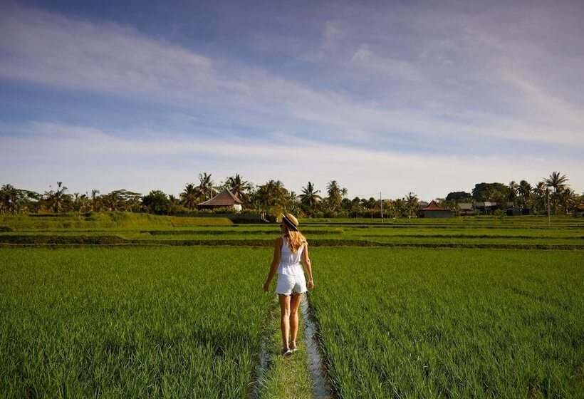 Fotos del hotel Element By Westin Bali Ubud:  21