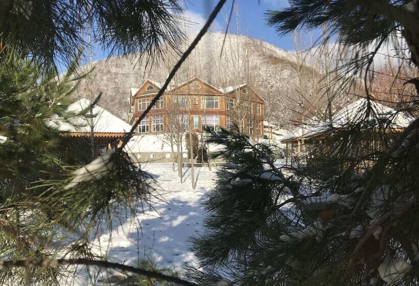 Fotos del hotel Kungut  & Resort:  25