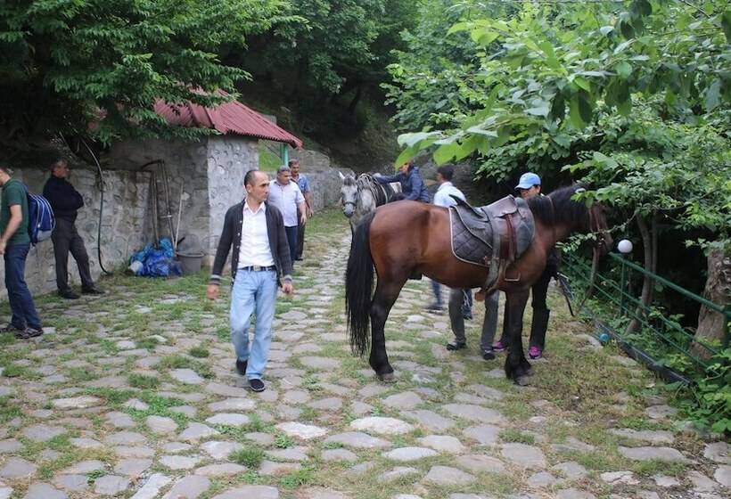 Fotos del hotel Kungut  & Resort:  6