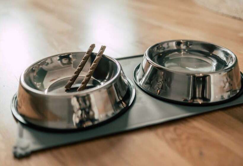 Fotos del hotel Luga Homes  Stadthaus:  3