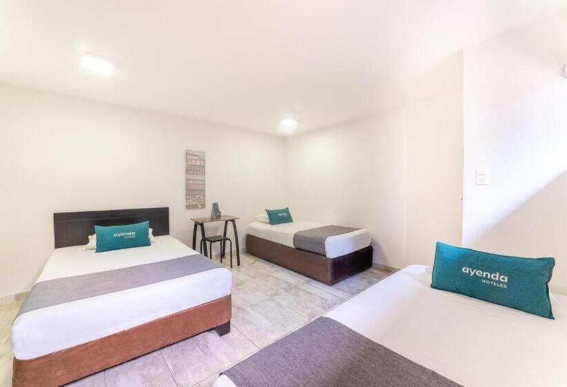 Fotos del hotel Ruta 65:  5