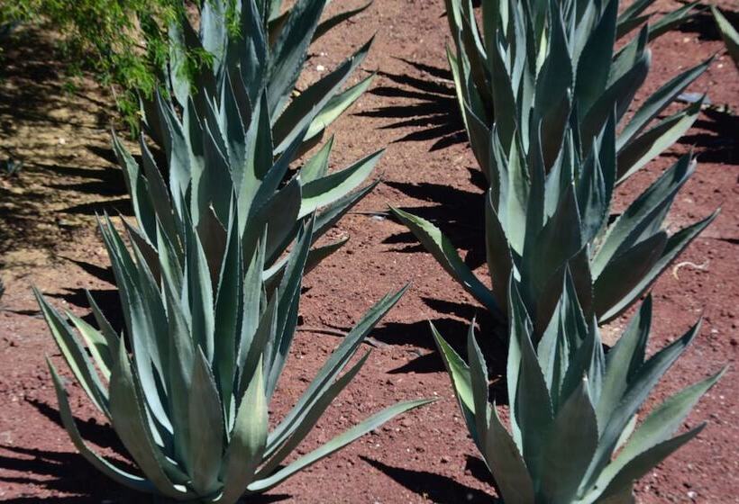 Fotos del hotel Casa Legado:  6