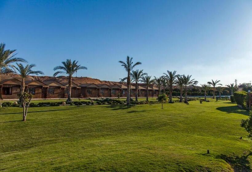 Fotos del hotel Xperience Golden Sandy Beach:  16