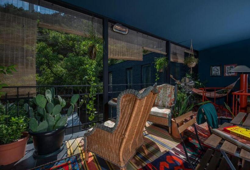 Fotos del hotel Communal Hotel Sololaki:  3