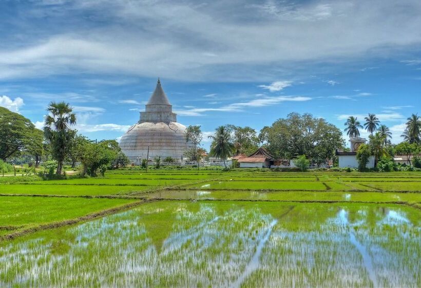 Fotos del hotel The Rain Tree:  5