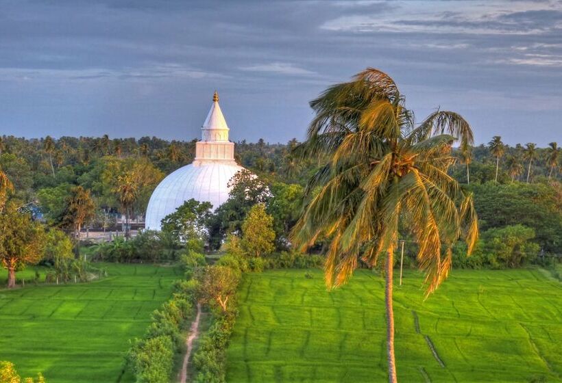 Fotos del hotel The Rain Tree:  9