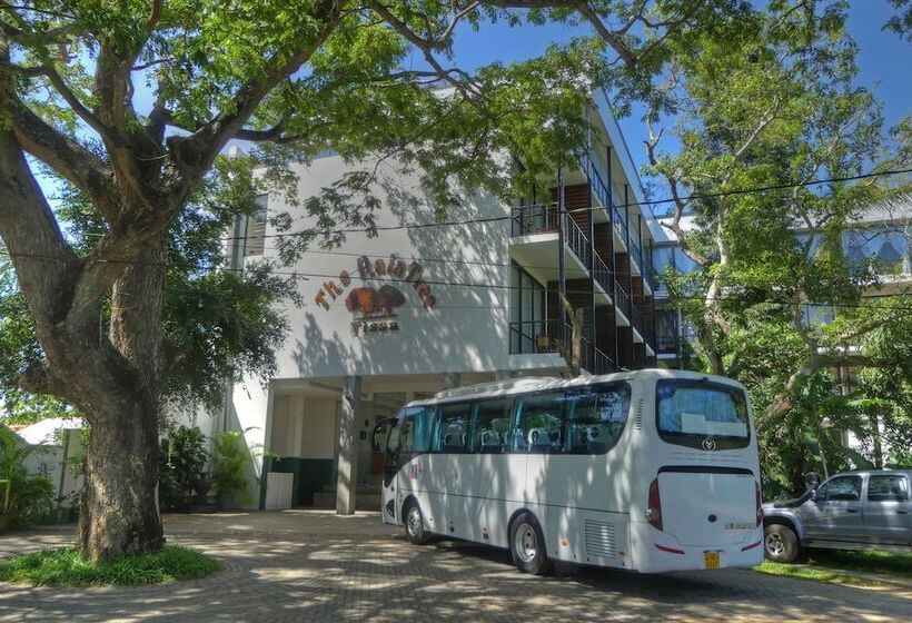 Fotos del hotel The Rain Tree:  14