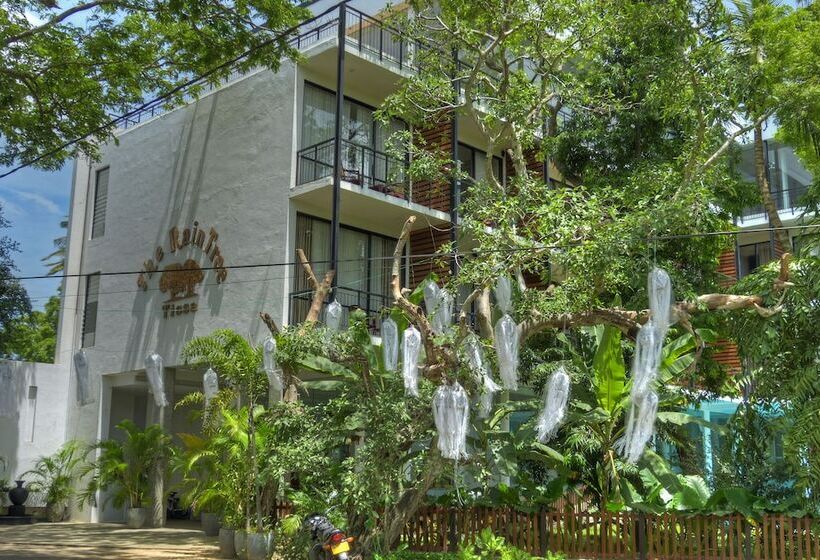 Fotos del hotel The Rain Tree:  7