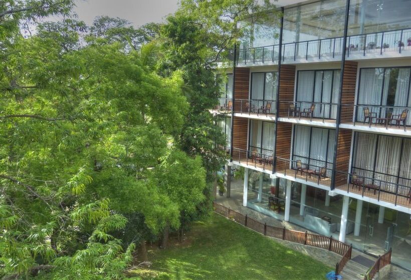 Fotos del hotel The Rain Tree:  15