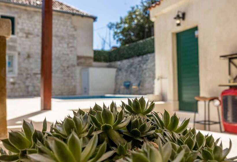 Fotos del hotel Agava:  4