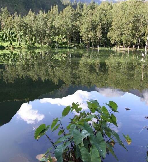 Fotos del hotel Le Relais Des Cîmes:  12