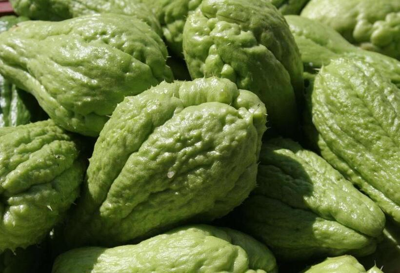 Fotos del hotel Le Relais Des Cîmes:  8