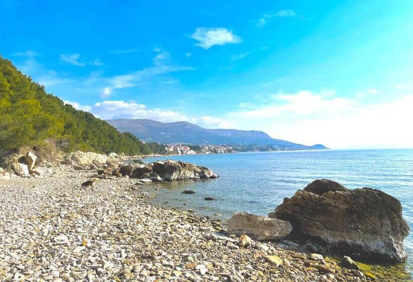 Fotos del hotel Super Horizont Apartments:  5