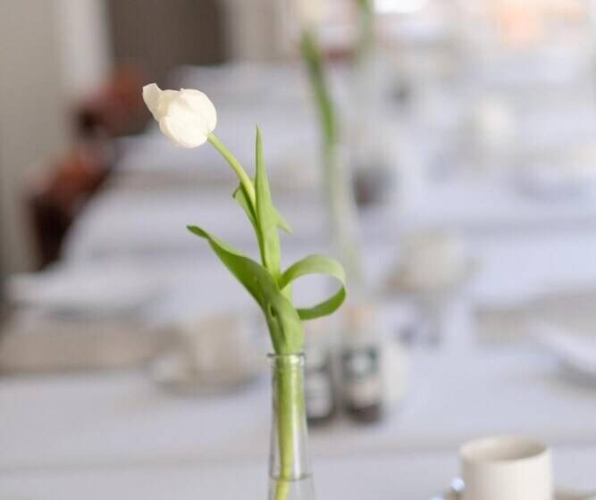 Fotos del hotel Constantia White Lodge Guest House:  14