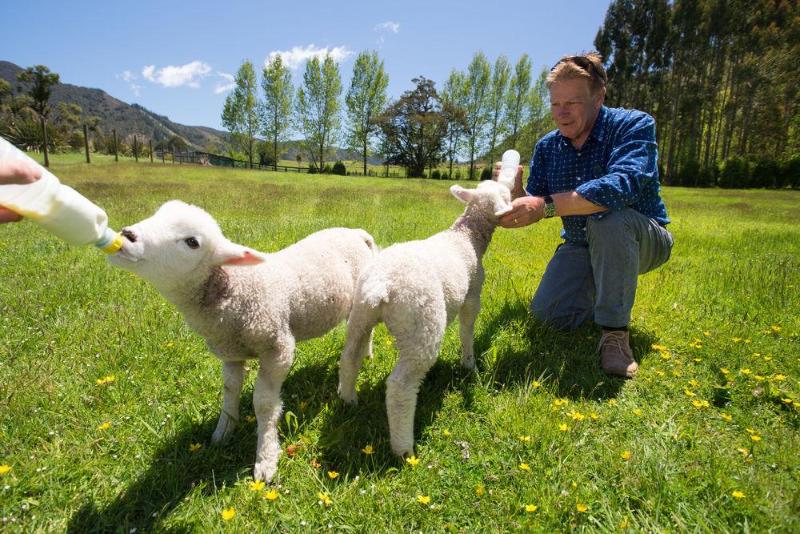 Fotos del hotel Lake Rotoroa Lodge:  6