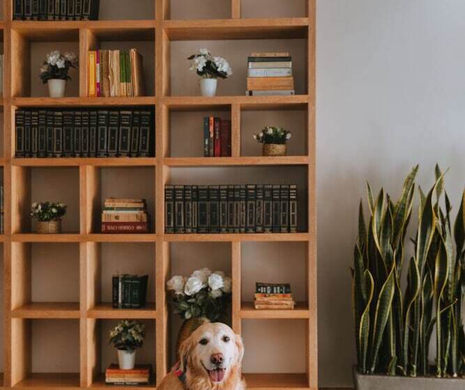 Fotos del hotel Travelers Orange Suites:  7