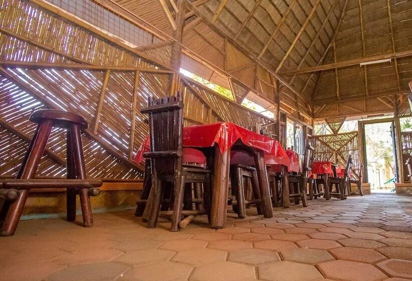 Fotos del hotel Brimax:  5