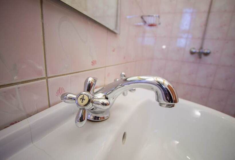 Fotos del hotel Brimax:  24