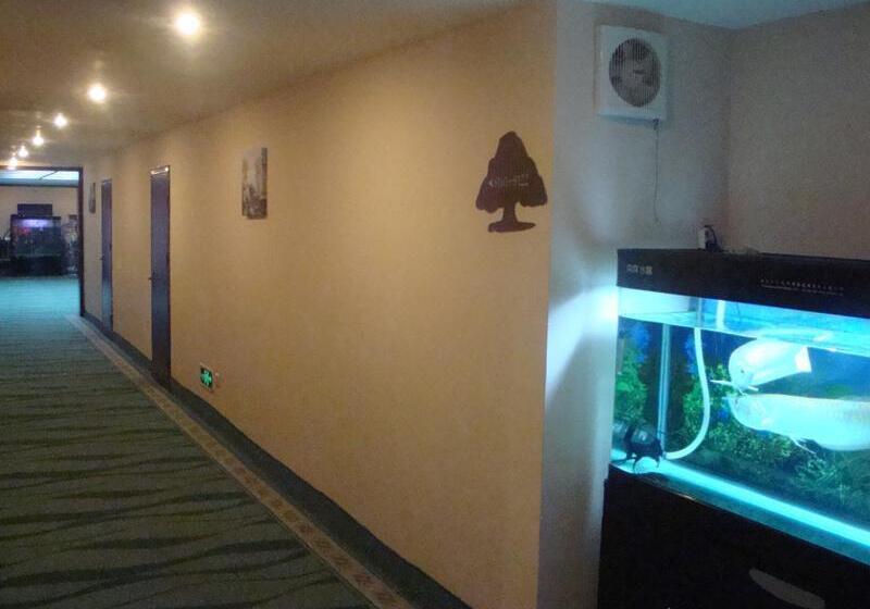 Fotos del hotel Greentree Inn Beijing Houhai Express:  24