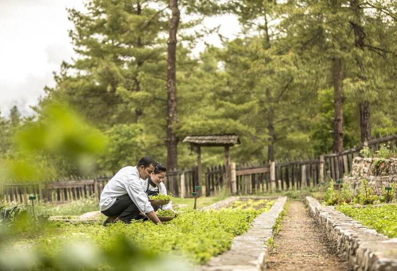 Fotos del hotel Como Uma Paro:  5