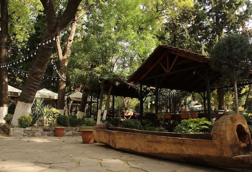 Fotos del hotel Elle Boutique:  15