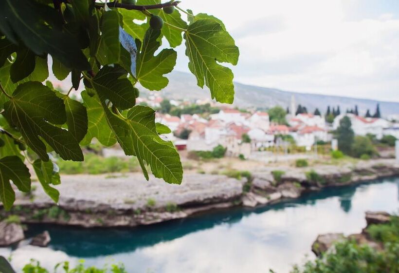 Fotos del hotel Guest House City Star:  4